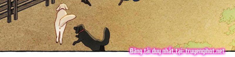 nuôi dưỡng một hắc long chapter 41 22
