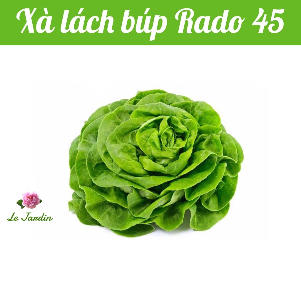 Hạt giống Xà lách búp Rado 45 gói 5gr