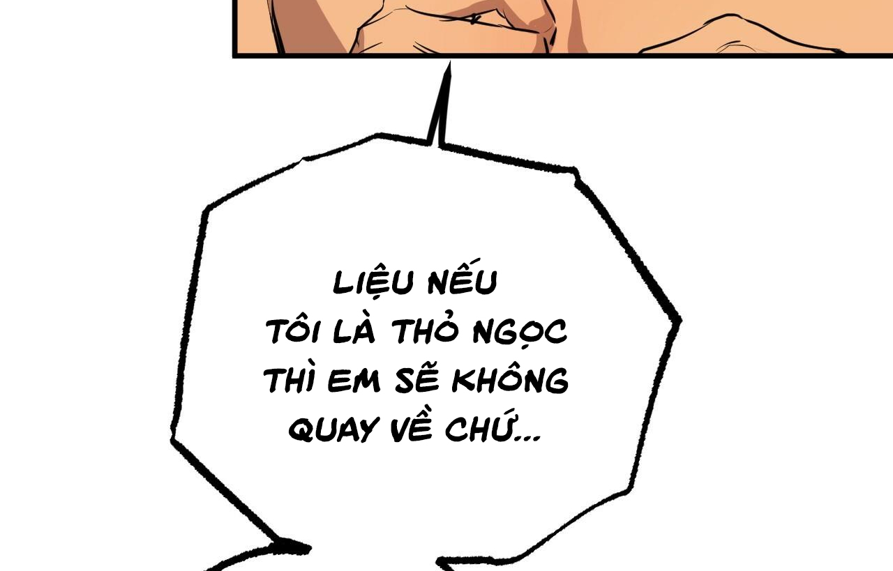 đàn thỏ của habibi chapter 26 158