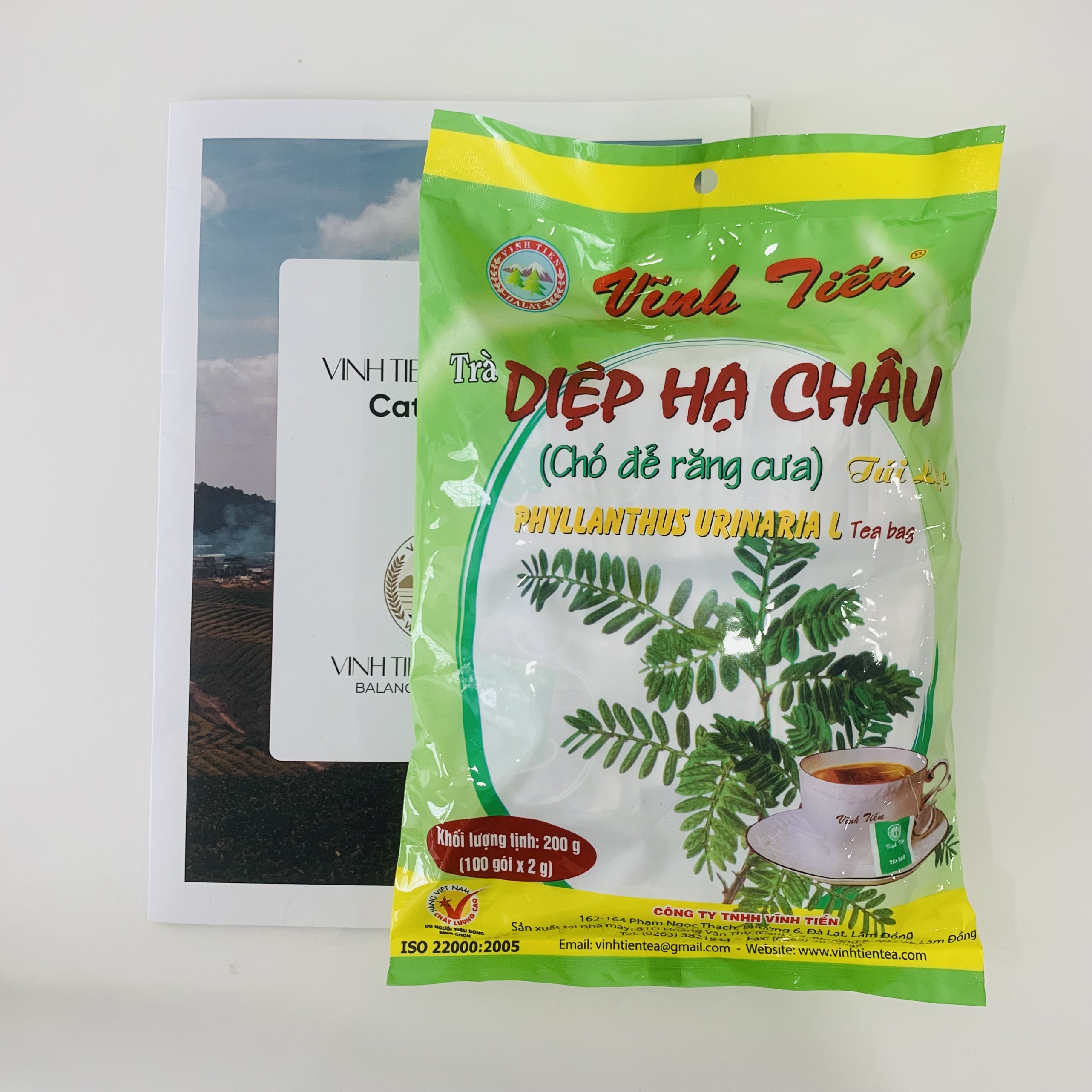 Trà Túi Lọc Diệp Hạ Châu Vĩnh Tiến
