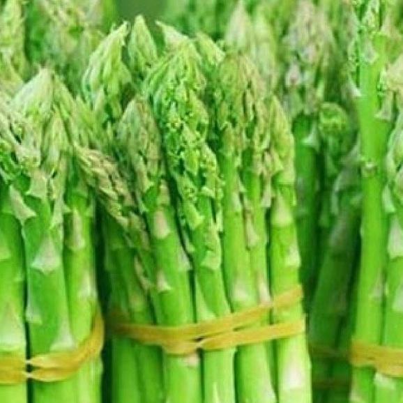 Combo 2 gói Hạt giống Măng Tây xanh dể trồng f1-gói 20 hạt-tặng kèm gói phân bón lót