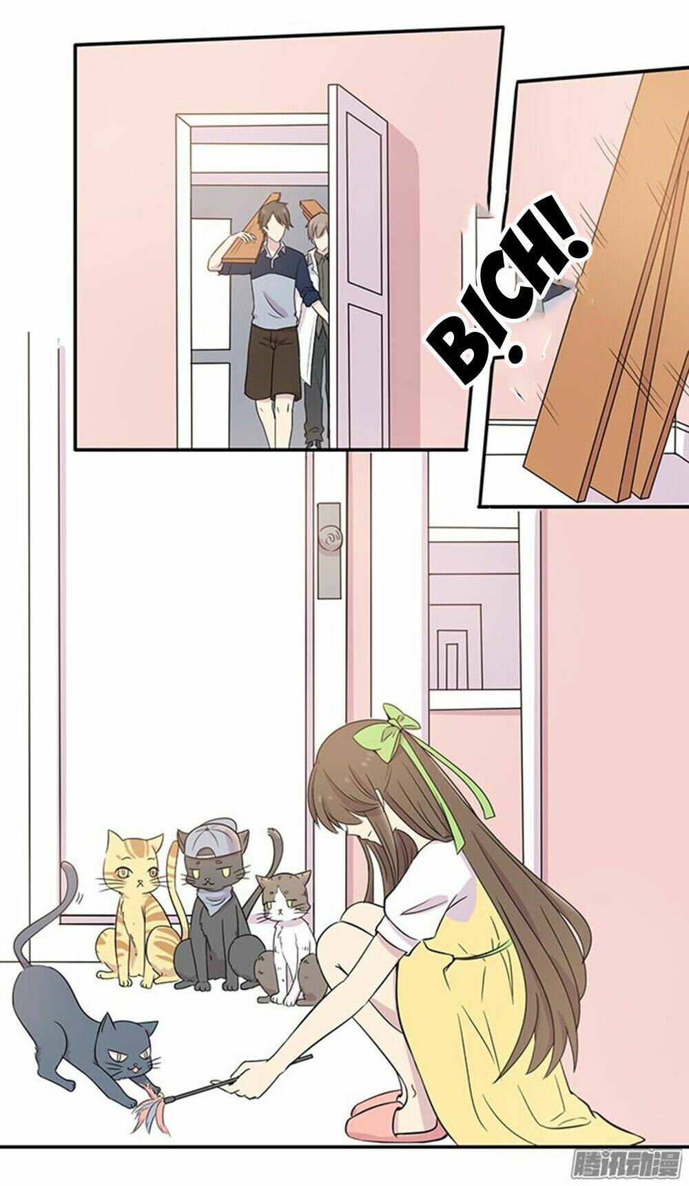 hai chú mèo totem chapter 14 8