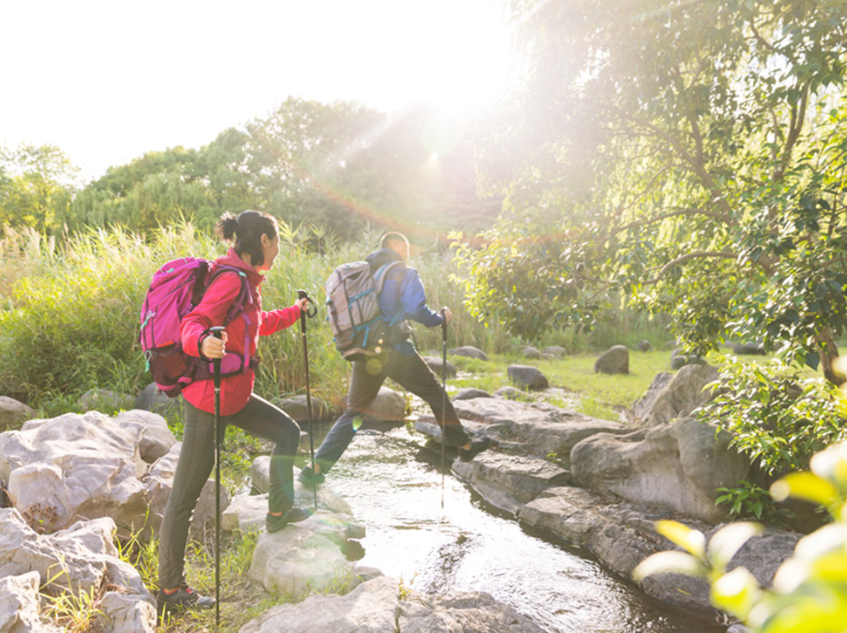 Gậy Leo Núi Dã Ngoại Gậy Trekking Có Thể Điều Chỉnh Độ Cao Làm Từ Hợp Kim Nhôm Chắc Chắn - Hãng dododios