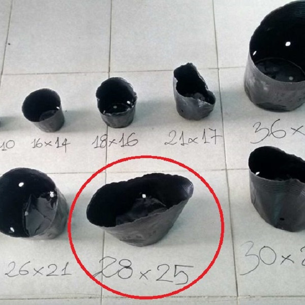 1KG CHẬU NHỰA MỀM ƯƠM CÂY 28X25 - BỊCH, TÚI BẦU 28x25, 1kg = 30 chậu