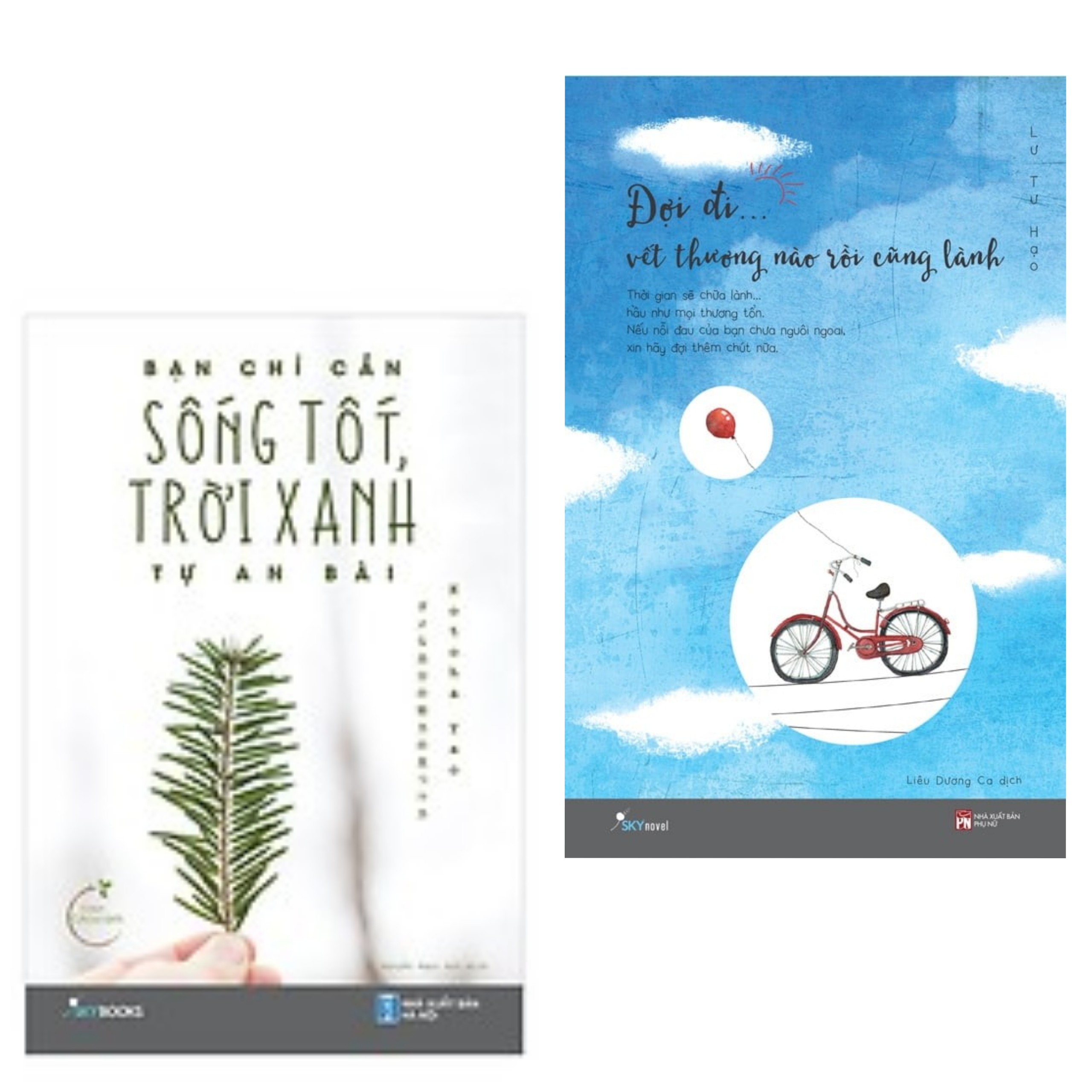 Combo 2 cuốn sách văn học hay : Bạn Chỉ Cần Sống Tốt, Trời Xanh Tự An Bài +  Đợi Đi... Vết Thương Nào Rồi Cũng Lành
