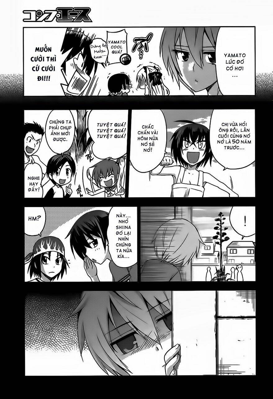 shinken de watashi ni koi shinasai chapter 6 17