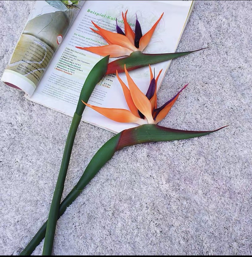 HOA THIÊN ĐIỂU LỚN