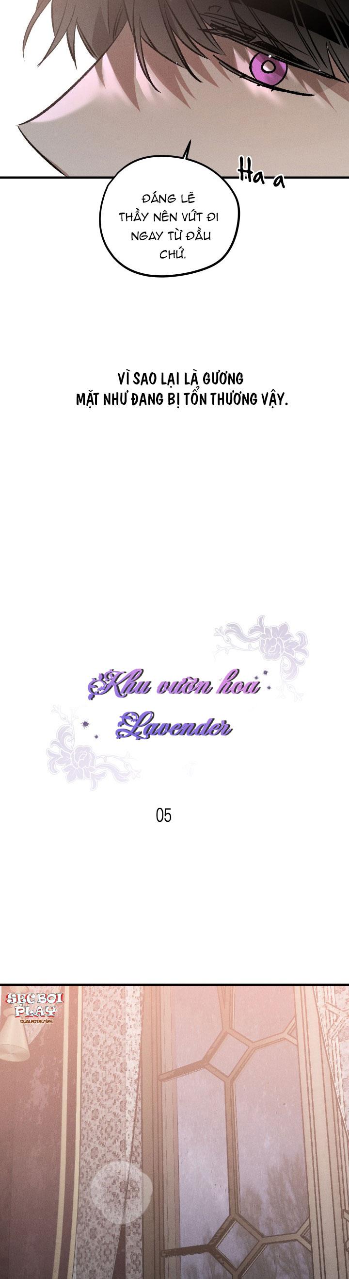 khu vườn hoa lavender chapter 5 10