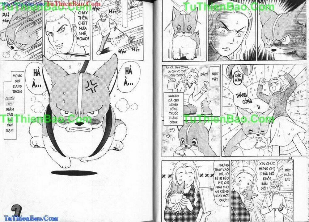 chó con mo mo chapter 3 24