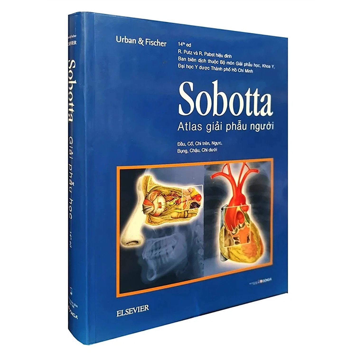 Sobotta Atlas Giải Phẫu Người