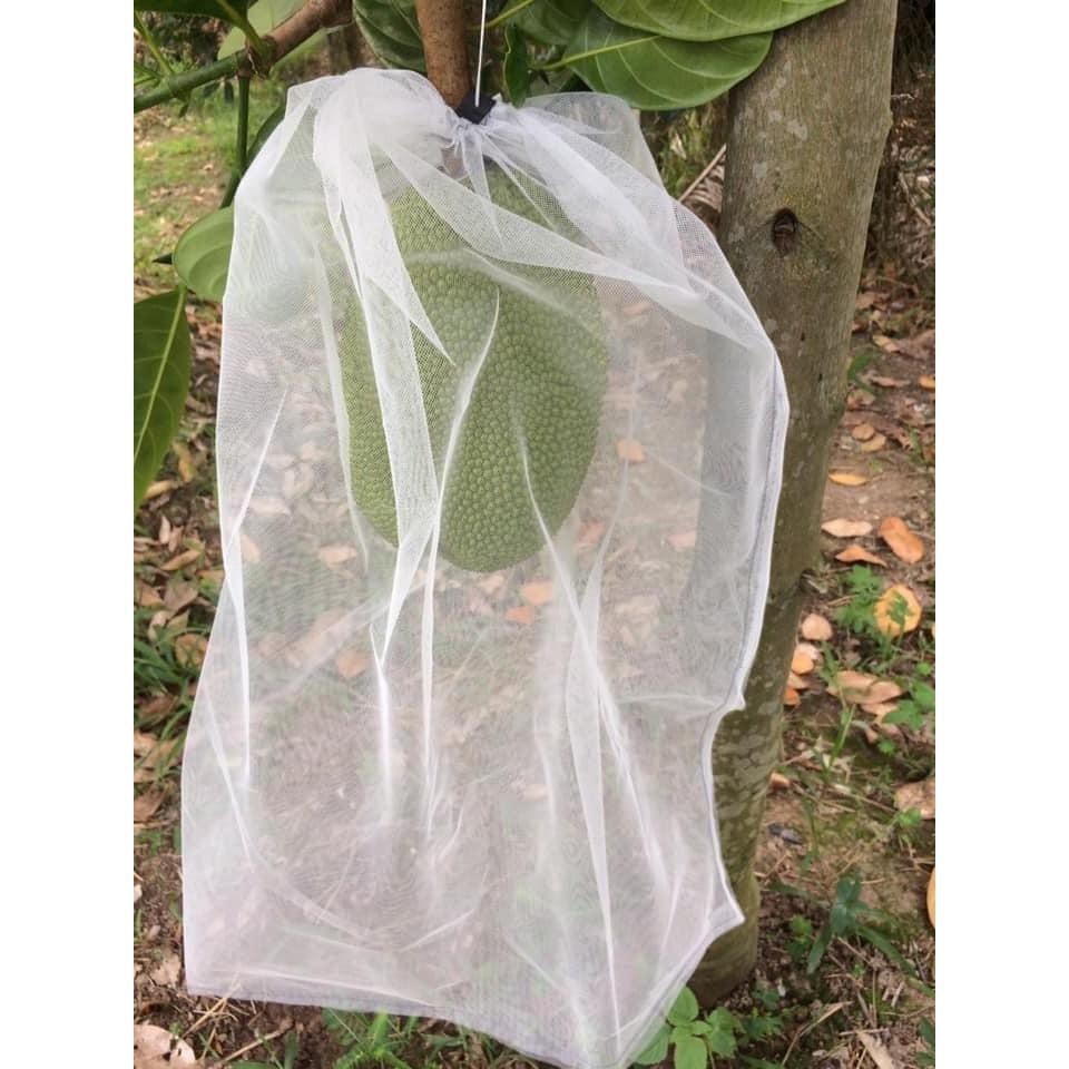 SET 100 CÁI TÚI BỌC MÍT SIZE 45X60 SIÊU BỀN