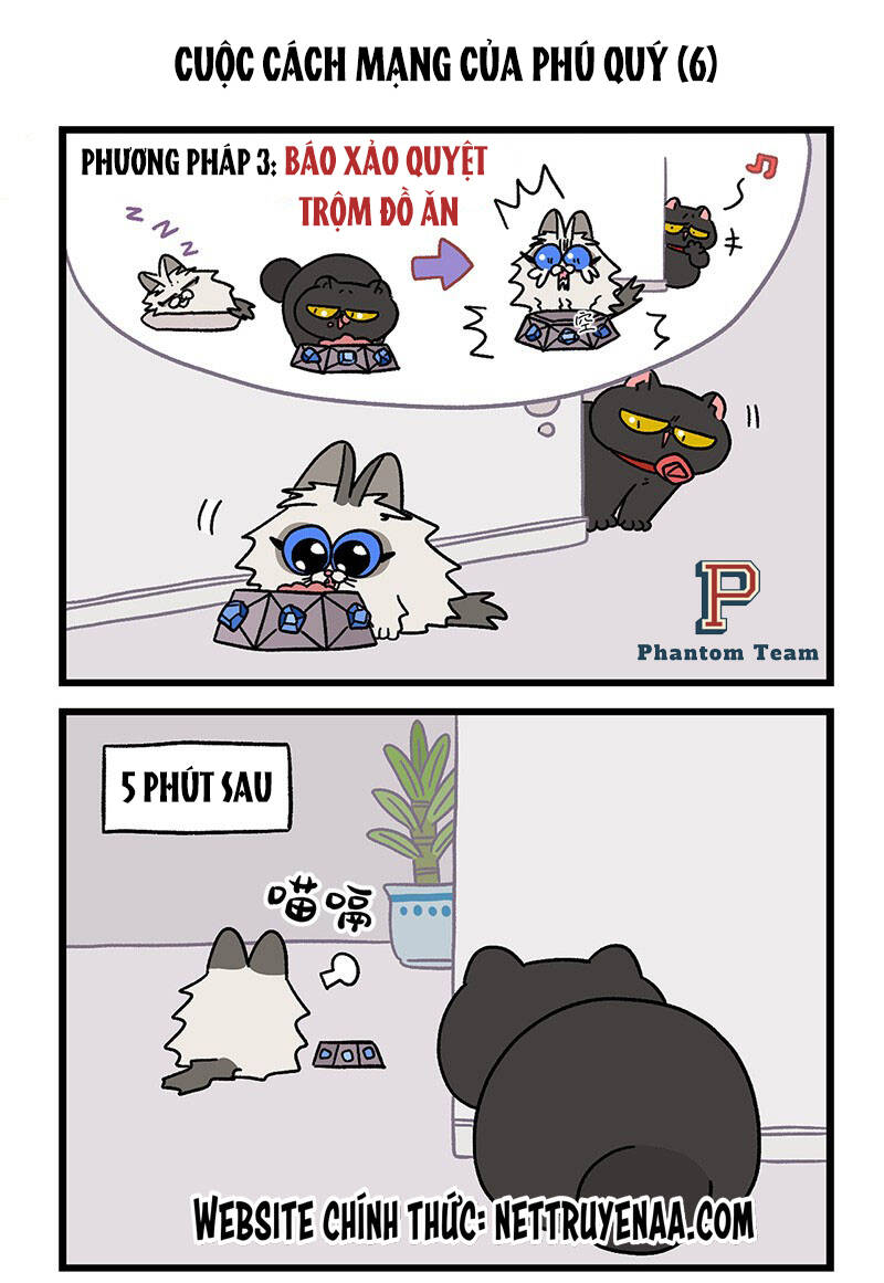 a mãn và mạch trà chapter 31.1 5