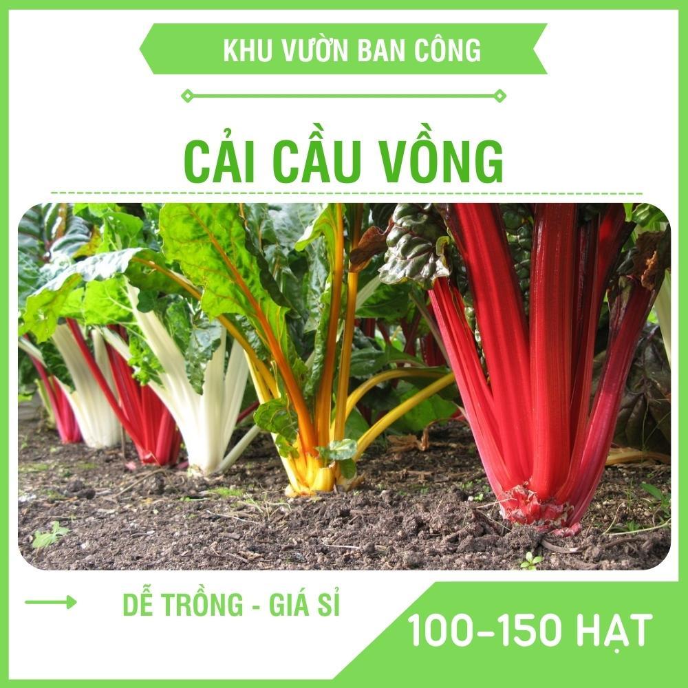 Hạt Giống Cải Cầu Vồng Nhiều Màu Sắc Dễ Canh Tác 100-150 Hạt - Khu Vườn Ban Công