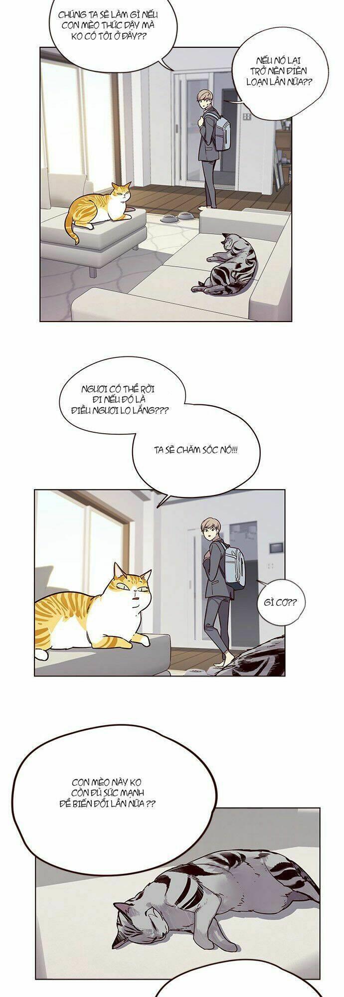biến thân thành mèo chapter 6 24