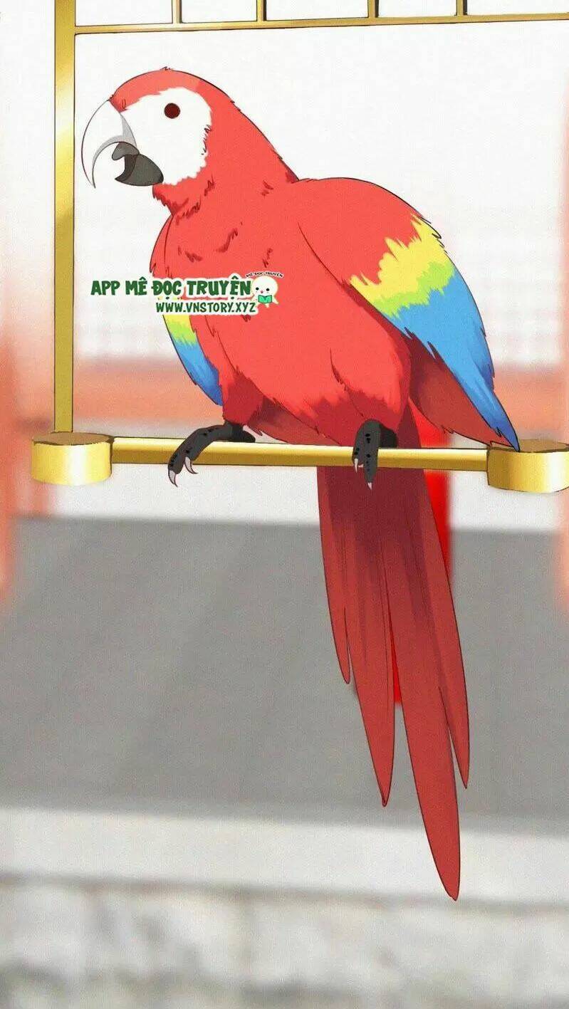 thiên hương mỹ nhân chapter 9 14