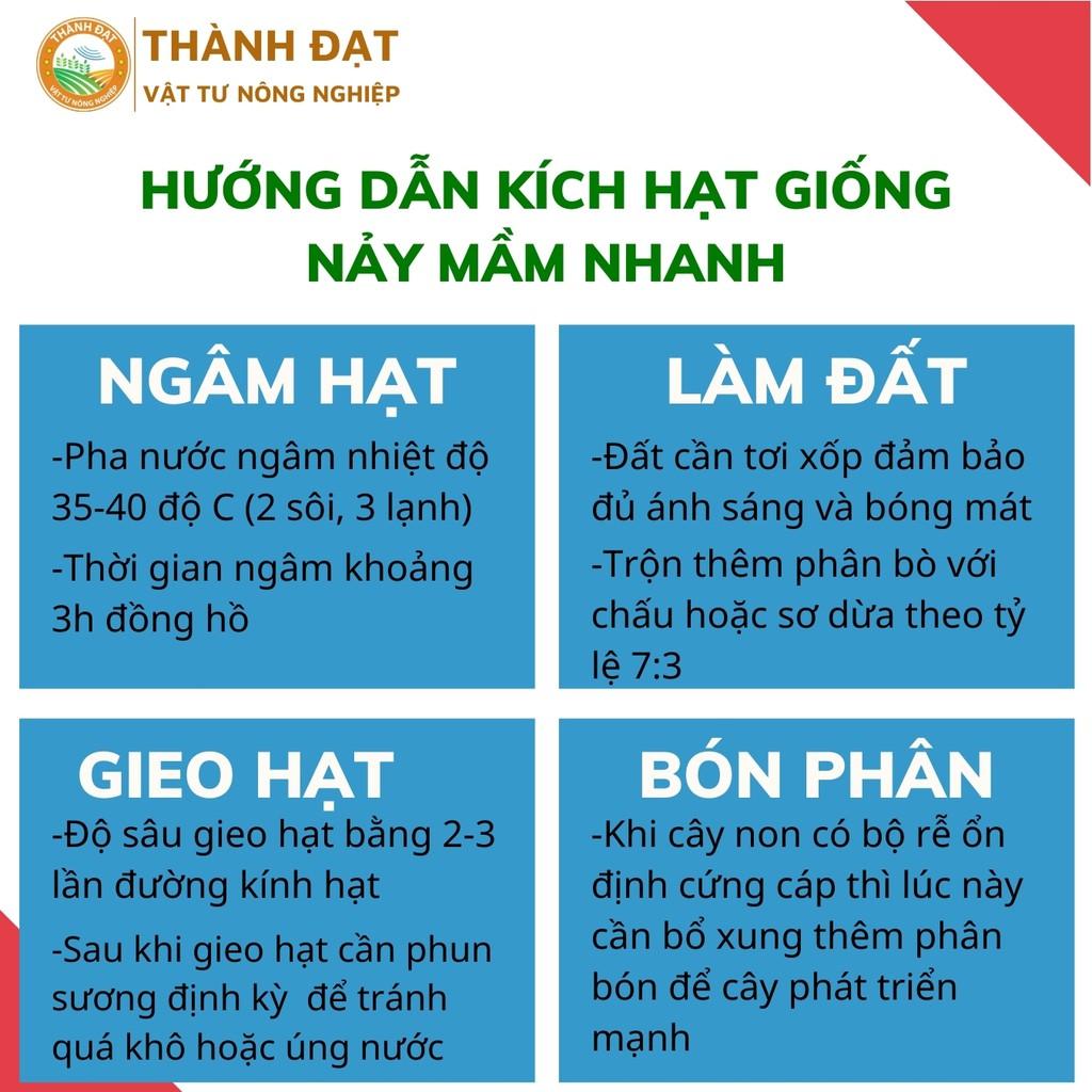 Hạt giống củ cải trắng, Hạt củ cải trắng ngọt, củ to mập năng suất cao gói 20gr