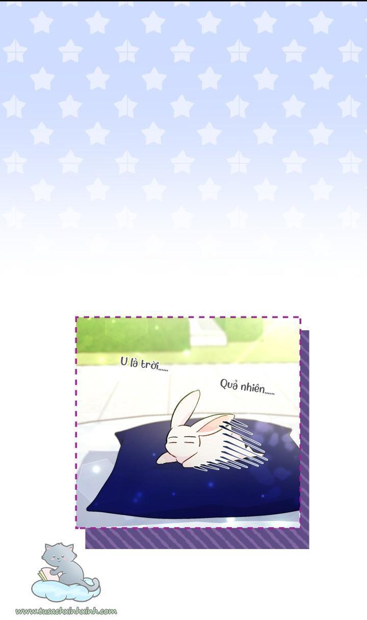 quan hệ cộng sinh giữa báo đen và thỏ trắng chapter 56 29