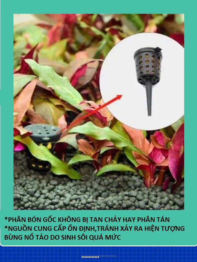 COMBO 10 GỐC DINH DƯỠNG THỰC VẬT THUỶ SINH PHÂN BÓN GỐC