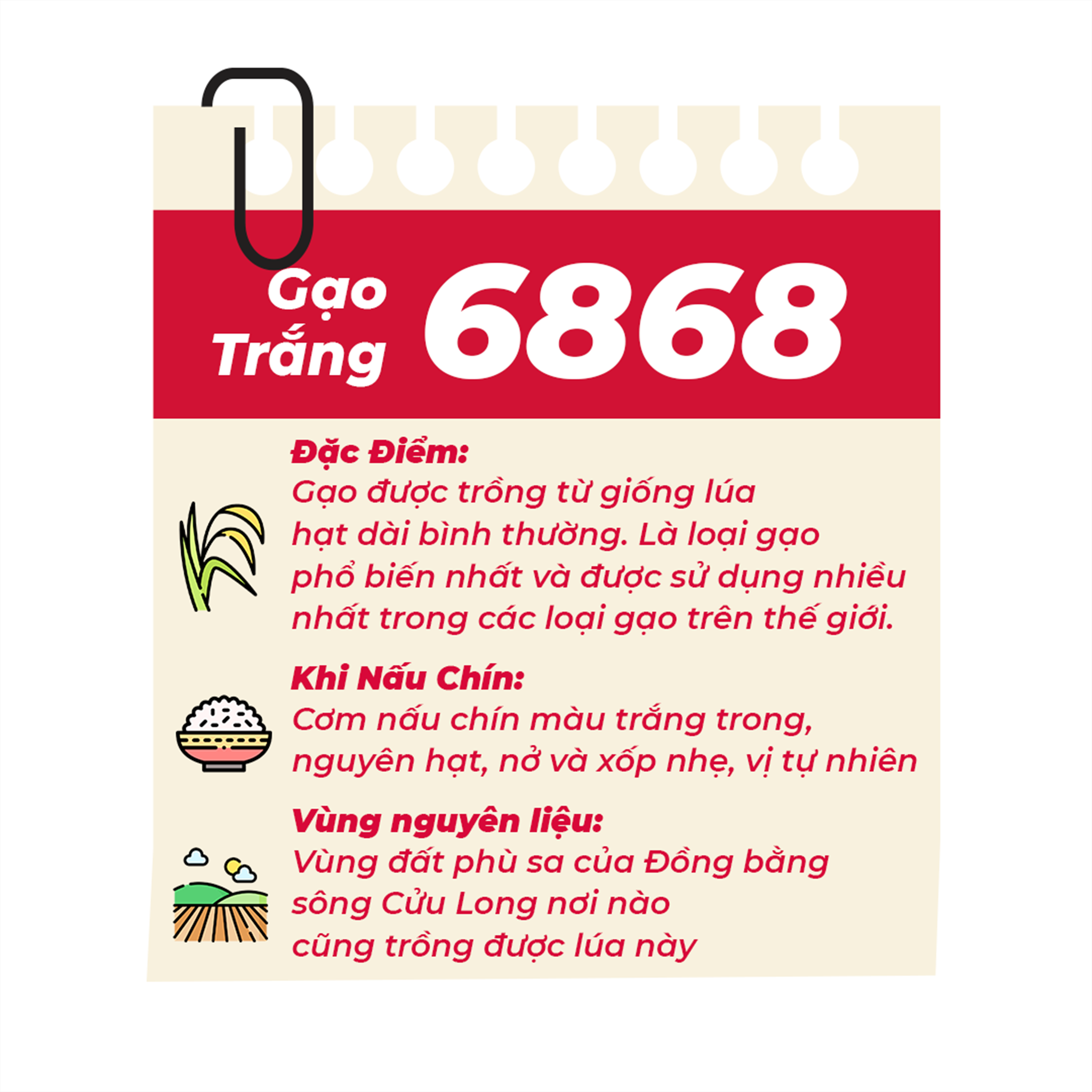 COMBO Gạo Trắng 6868 5KG + 5KG