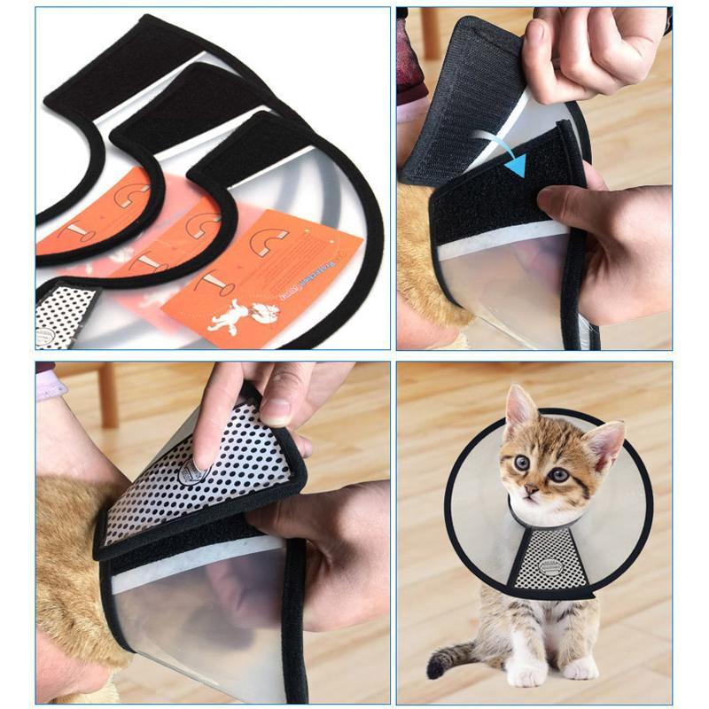 Vòng chống liếm, loa đeo cổ cho chó mèo Ngáo Và Gâu Đần Số 6 vòng cổ 17-25cm