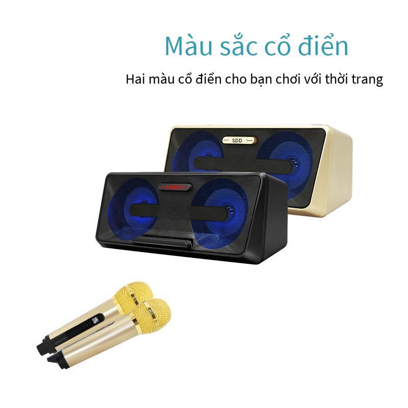 Đảm bảo chất lượng SD301 một cho hai gia đình KTV âm thanh bluetooth nhiều chế độ micro kép điệp khúc đôi karaoke di động