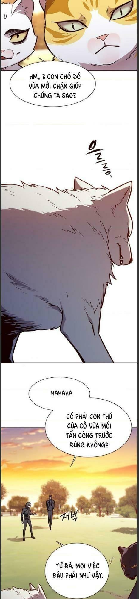 biến thân thành mèo chapter 161 24
