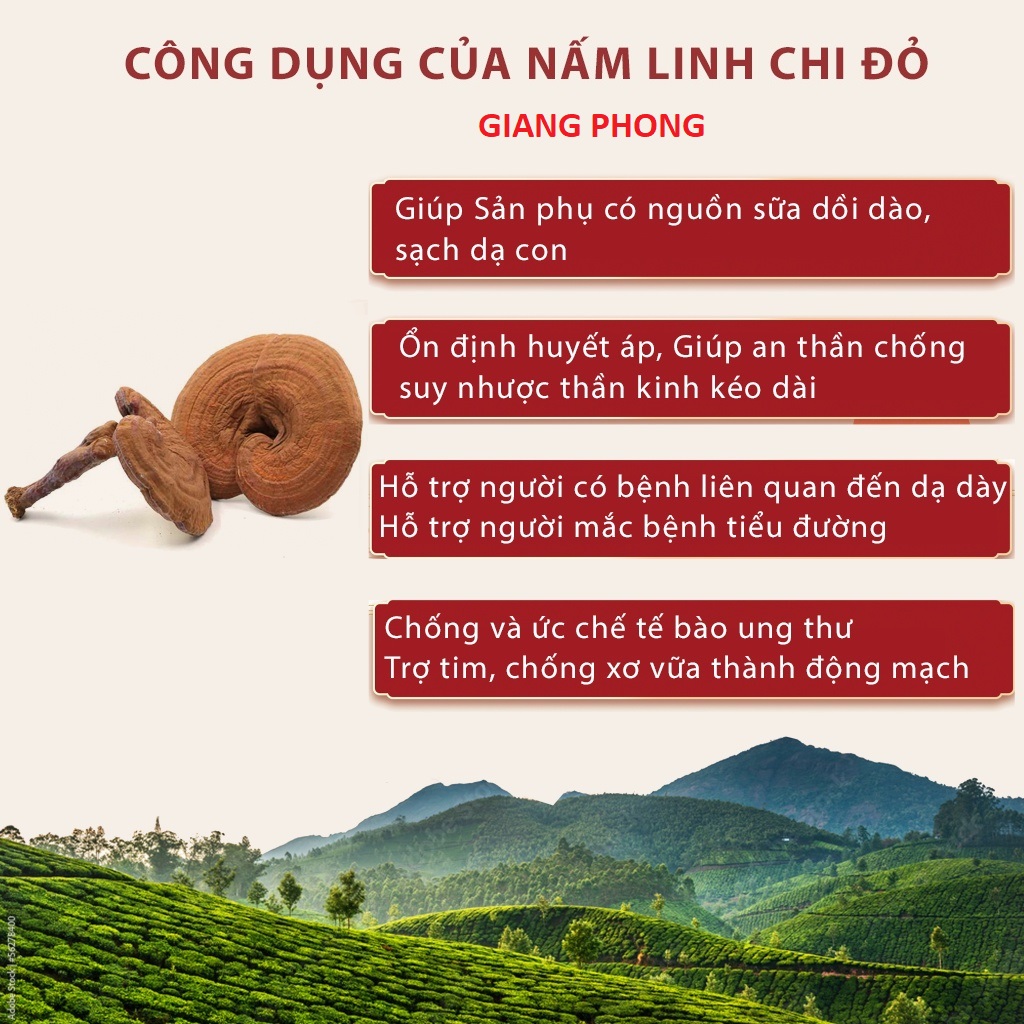 Nấm Linh Chi Đỏ Thương Hiệu Giang Phong Đạt Chuẩn OCOP 4 Sao , Thực Phẩm Giàu Chất Dinh Dưỡng Tốt Cho Sức Khỏe - Rất Phù Hợp Làm Quà Biếu Tặng Cho Gia Đình Và Những Người Thân Yêu Của Bạn