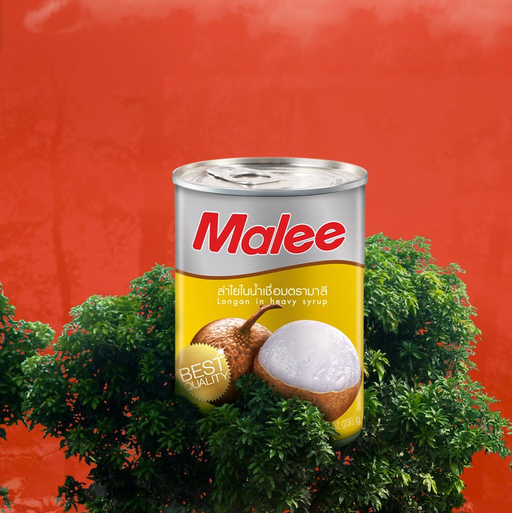Trái Nhãn Ngâm Đường Malee 565g