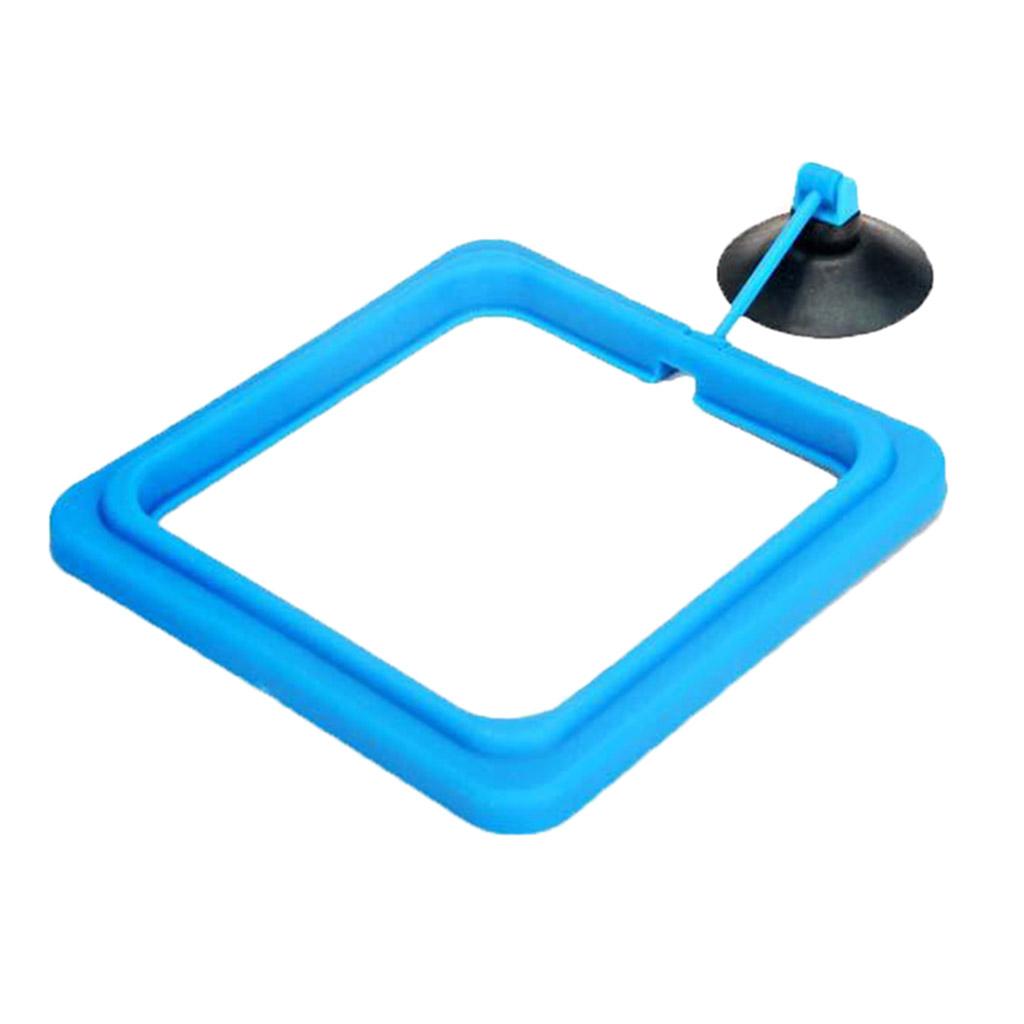2PCS Fish Food Feeding  Aquarium Feeding Circle  Fish Tank Feeder
