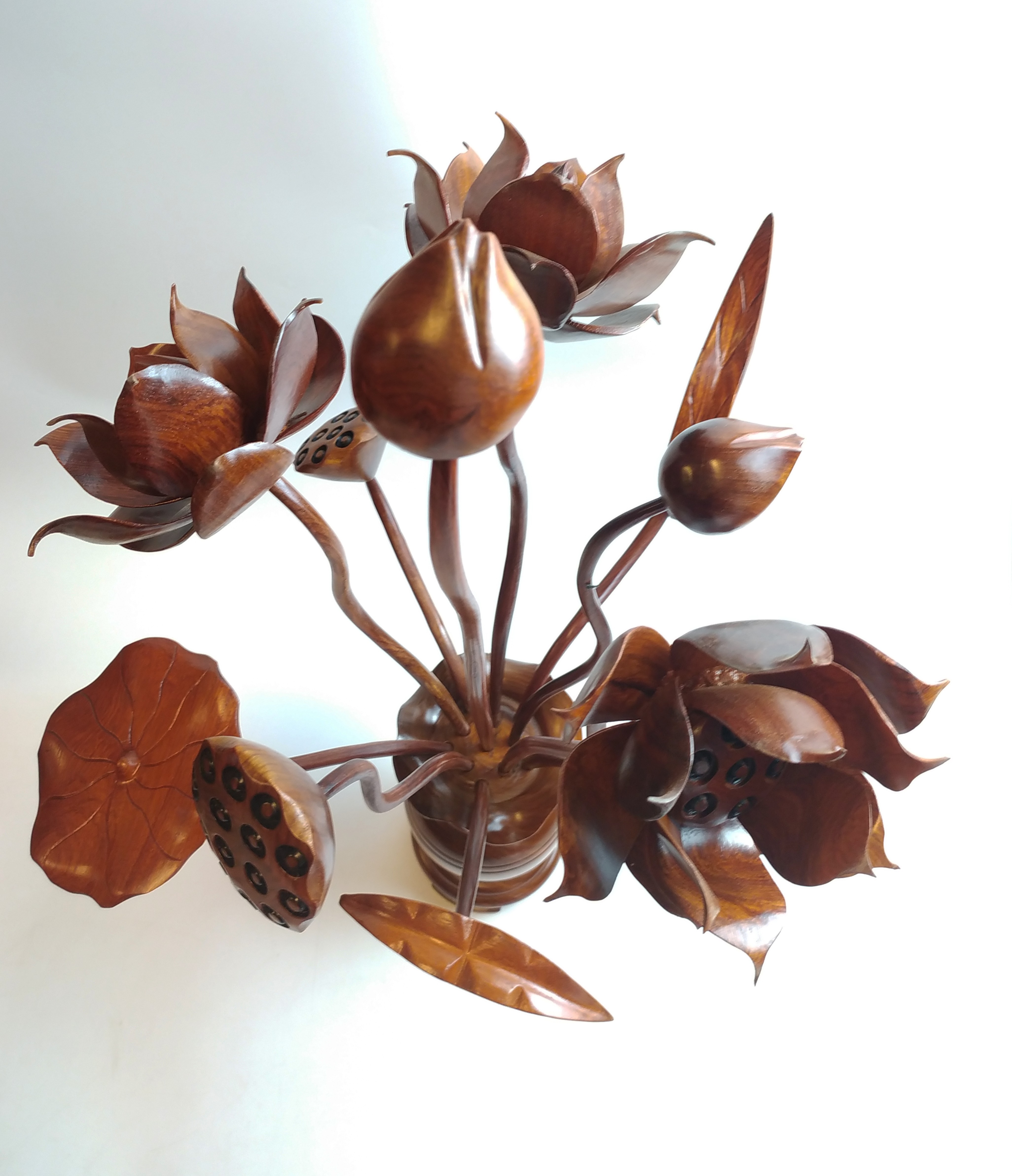 Sen hương gỗ