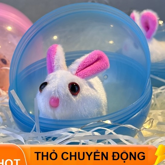 Đồ chơi cho mèo chó thỏ chuột hamster bông cute chạy trong quả bóng, đồ chơi cho bé tập bò