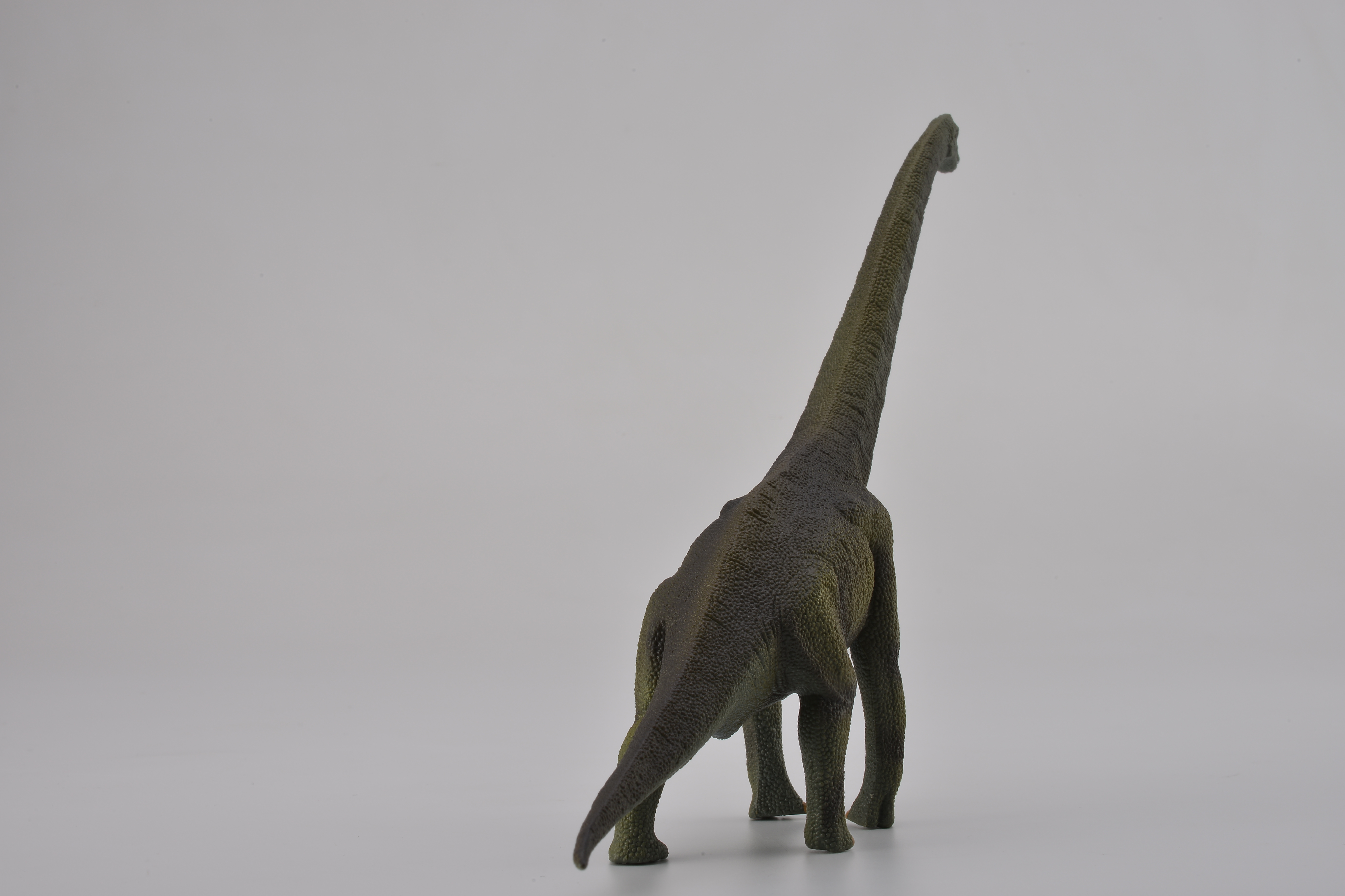 Mô hình thu nhỏ: Khủng Long Brachiosaurus  - Brachiosaurus, hiệu: CollectA, mã HS 9654120[88121] -  Chất liệu an toàn cho trẻ - Hàng chính hãng