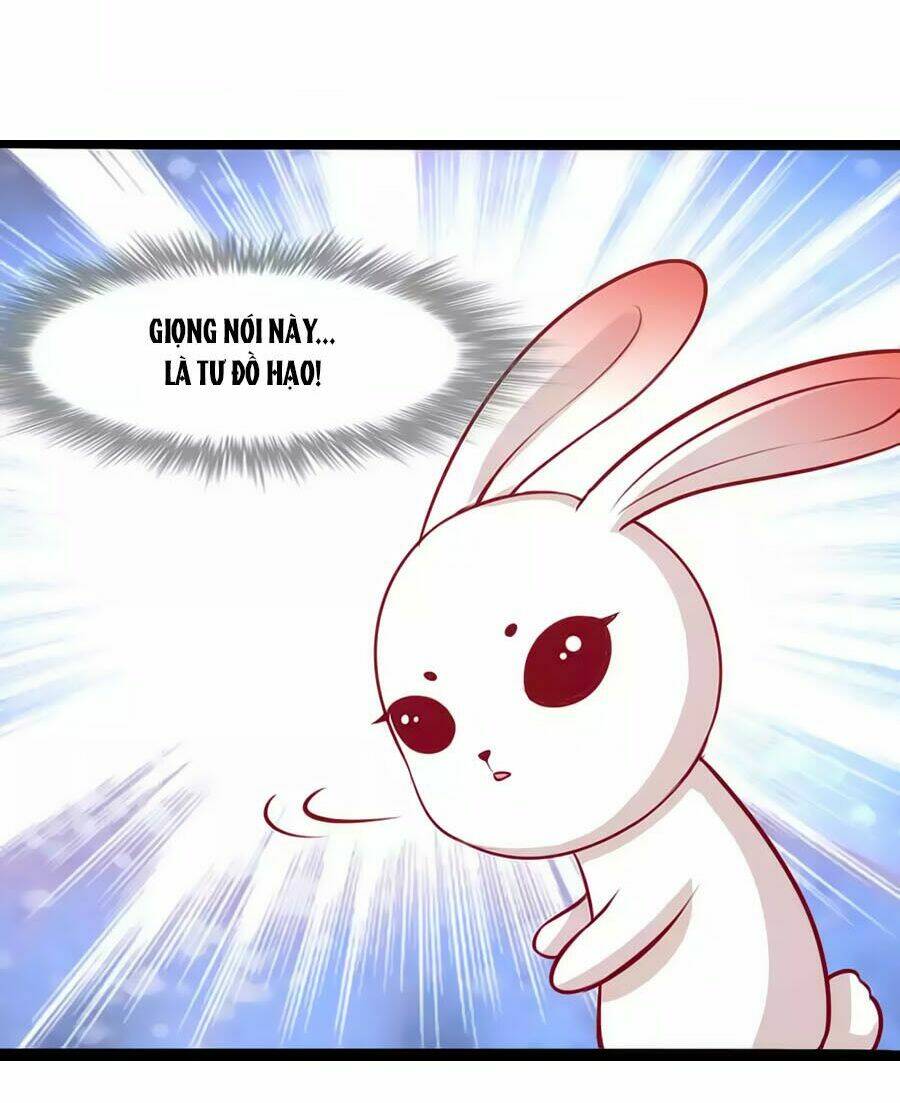 thỏ yêu tiểu vương phi chapter 77 25