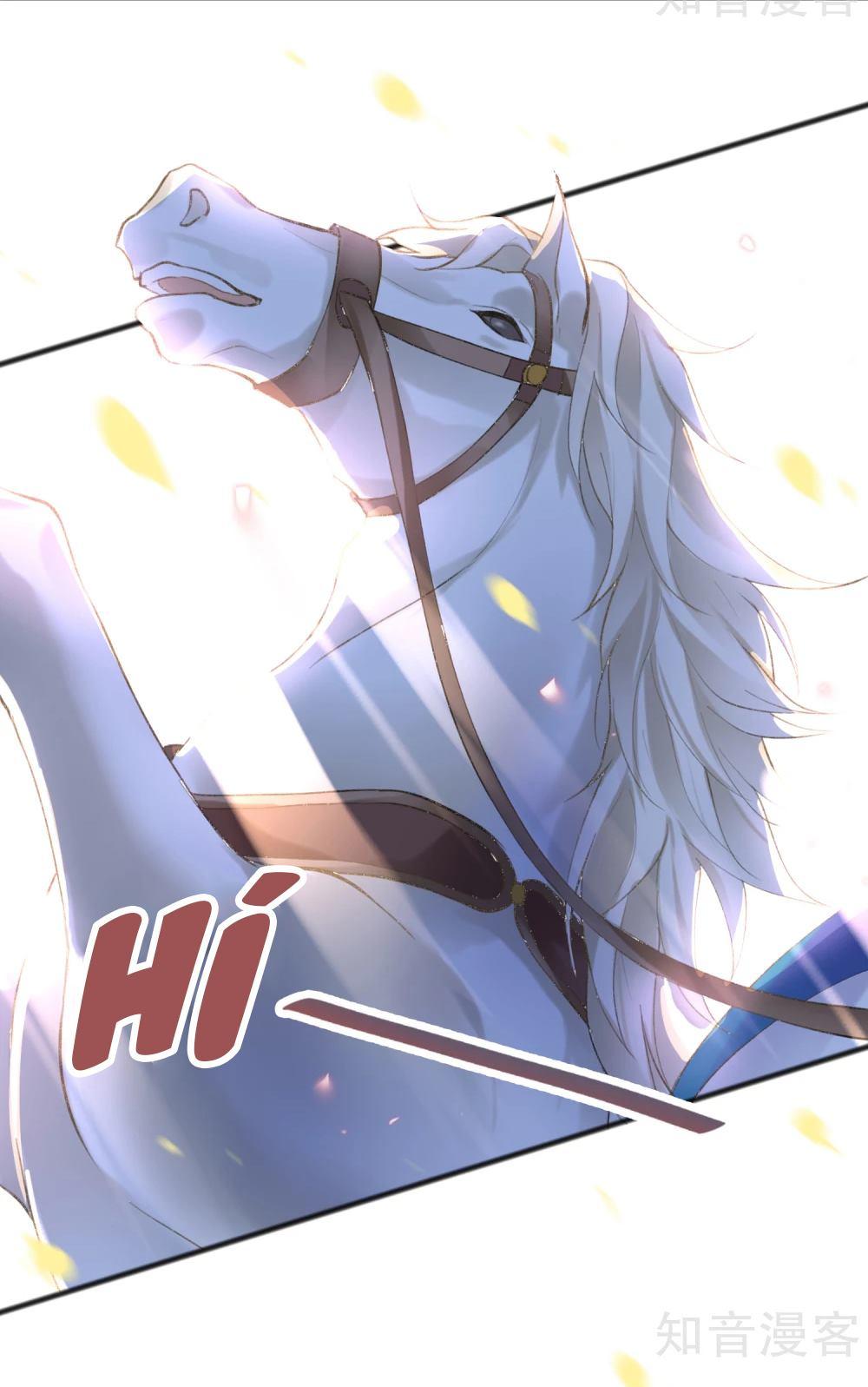 vương gia, mã giáp của người rơi rồi chapter 1 53