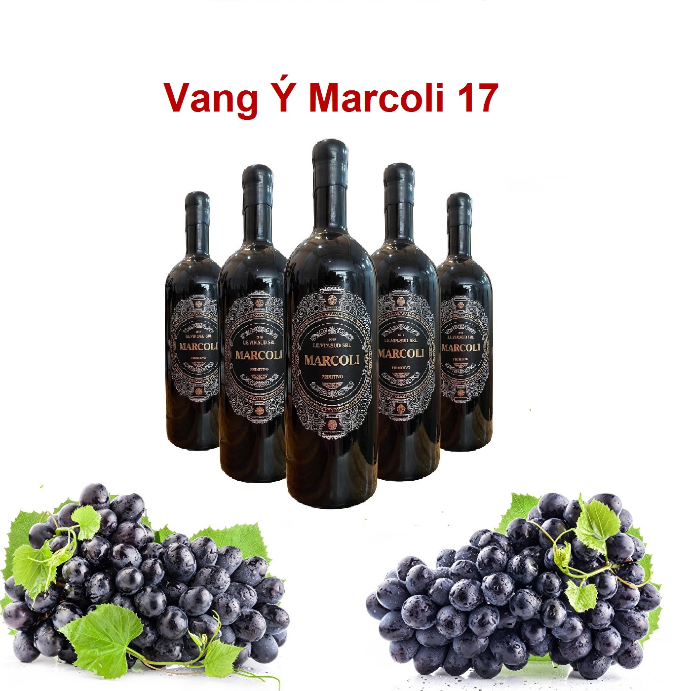 Rượu vang Ý Marcoli