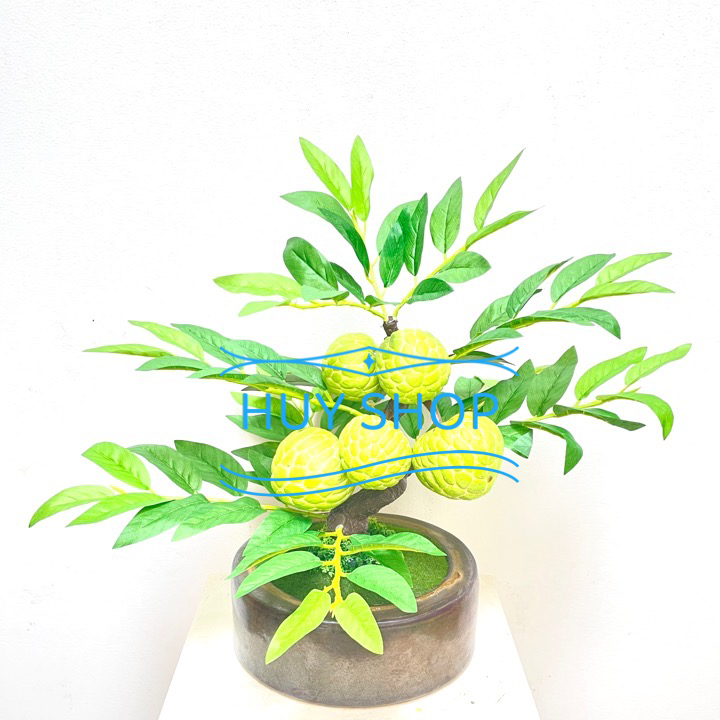CHẬU CÂY TRÁI MÃNG CẦU NHÂN TẠO SỐ 4 TRANG TRÍ NHÀ CỬA