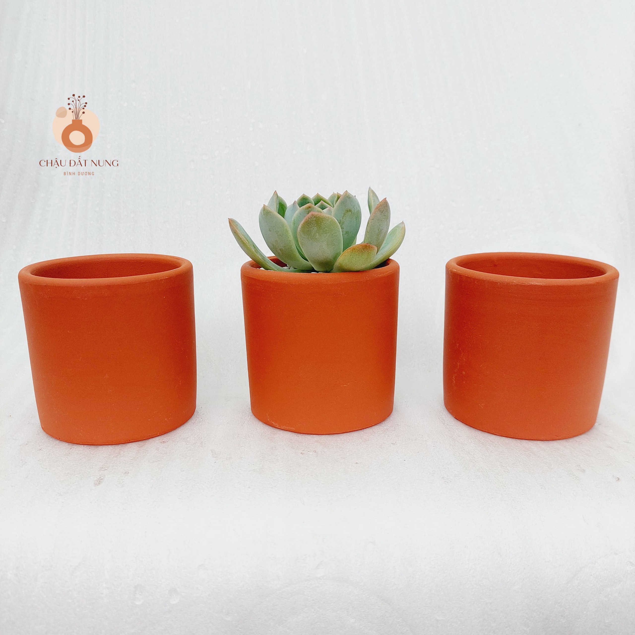Chậu đất nung Bình Dương - Trụ 75, miệng chậu 7.5cm, chiều cao 7.5cm