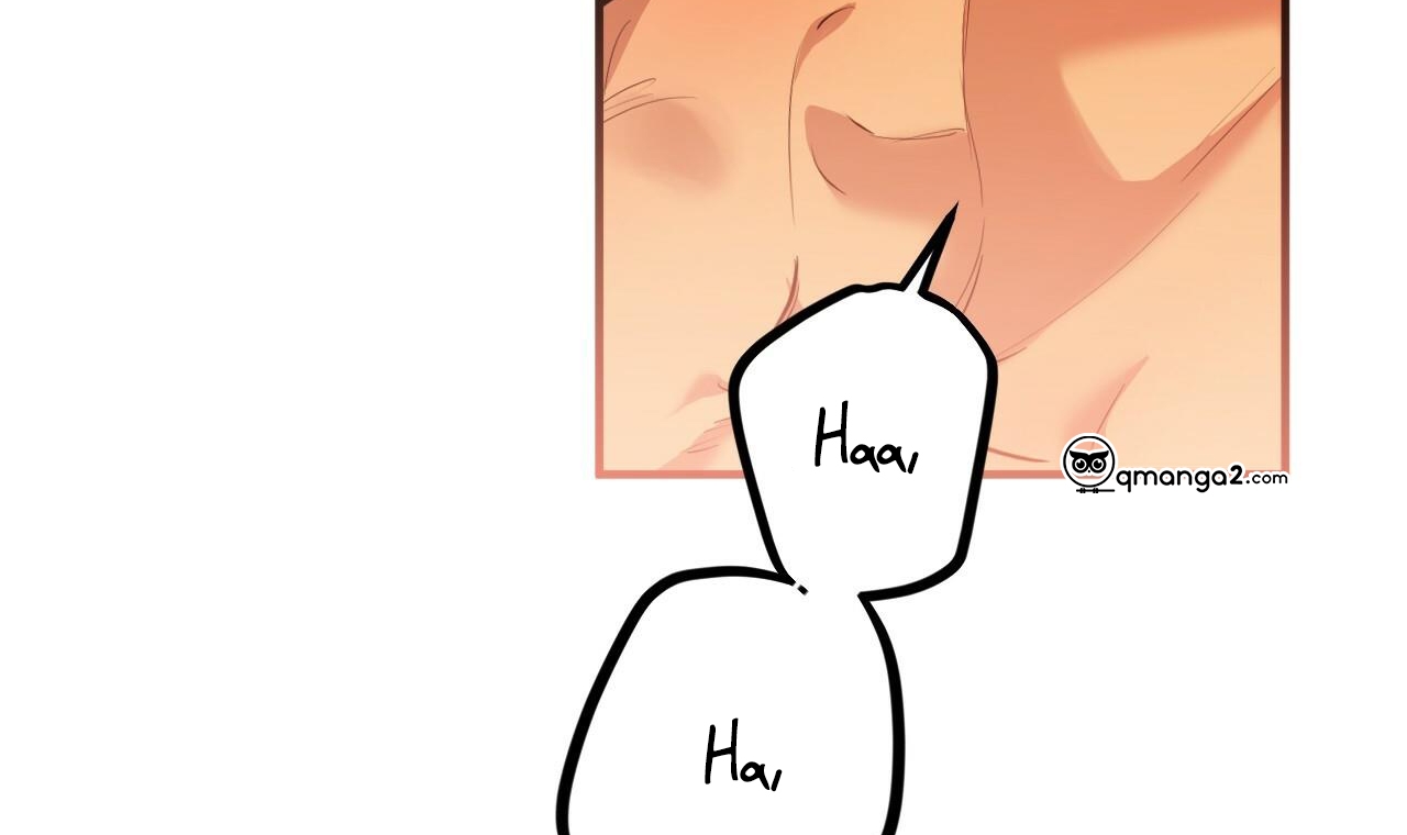 đàn thỏ của habibi chapter 25 260