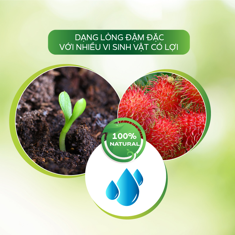 Phân Bón Hữu Cơ AT Đậm Đặc 500ml Siêu Vọt Bông Điều Giúp Tược Hoa Vươn Dài, Siêu Ra Bông Trị Bệnh Đen Hoa Tăng Tỷ Lệ Đậu
