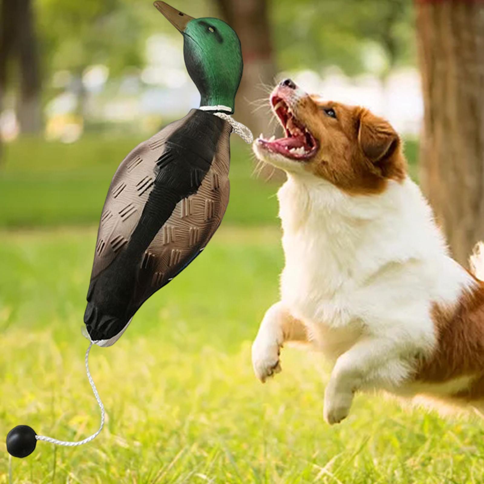 EVA Mallard Duck Hunting Decoy Full Body Scarer Scarecrow Crow Decoys Shooting Outdoor Decors