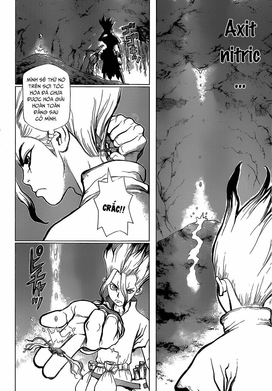 dr.stone - hồi sinh thế giới chapter 14 9