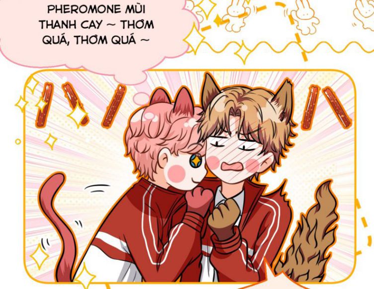 tín tức tố nói chúng ta không thể chapter 33 64