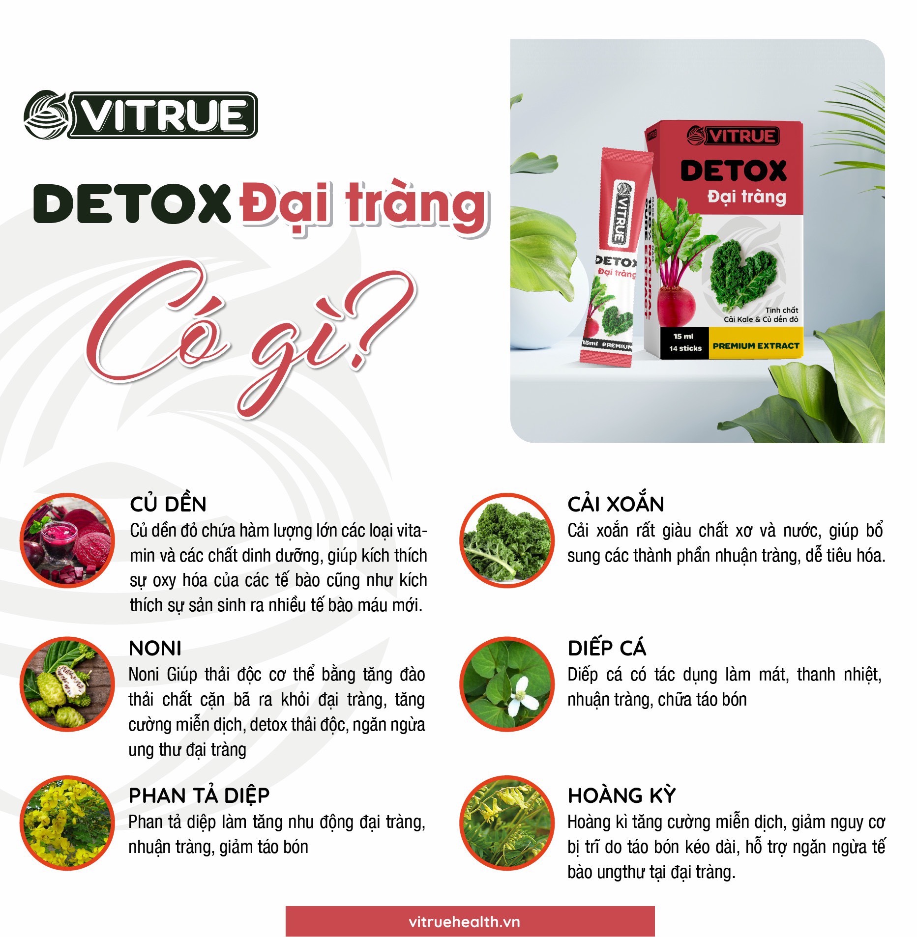 VITRUE Detox Đại Tràng