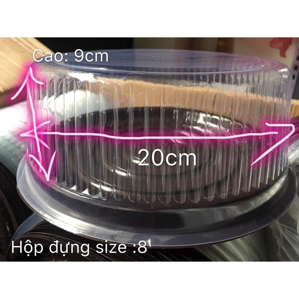 50c Hộp nhựa A024 đựng bánh bông lan trứng muối 20cm - Hộp đựng rau câu 3D 20cm - Hộp đựng bánh bao đào tiên