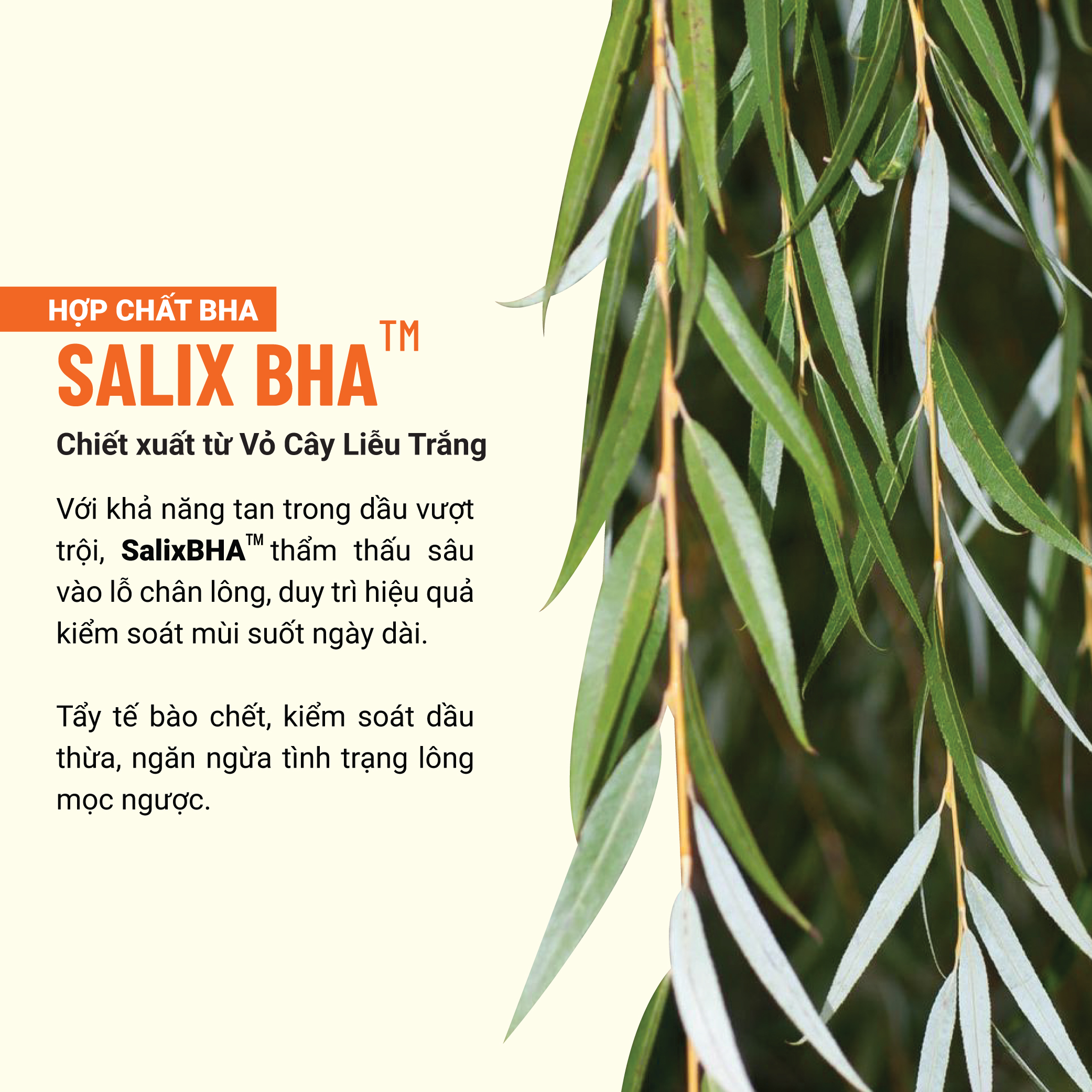 Serum Khử Mùi Thảo Dược Thuần Chay Lá Trầu Cam Thảo Heebee’s Lăn Khử Mùi, Sáng Mịn, Mờ Thâm, Ngăn Mùi 12H 30ml