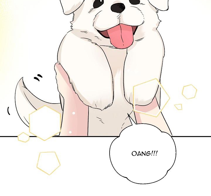 xác suất tình yêu chapter 38 20