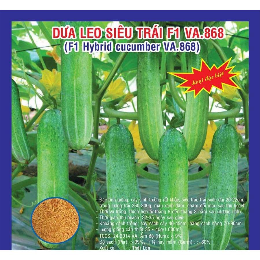 HẠT GIỐNG DƯA LEO VA.868 GÓI 10G - GIỐNG CỰC CHUẨN