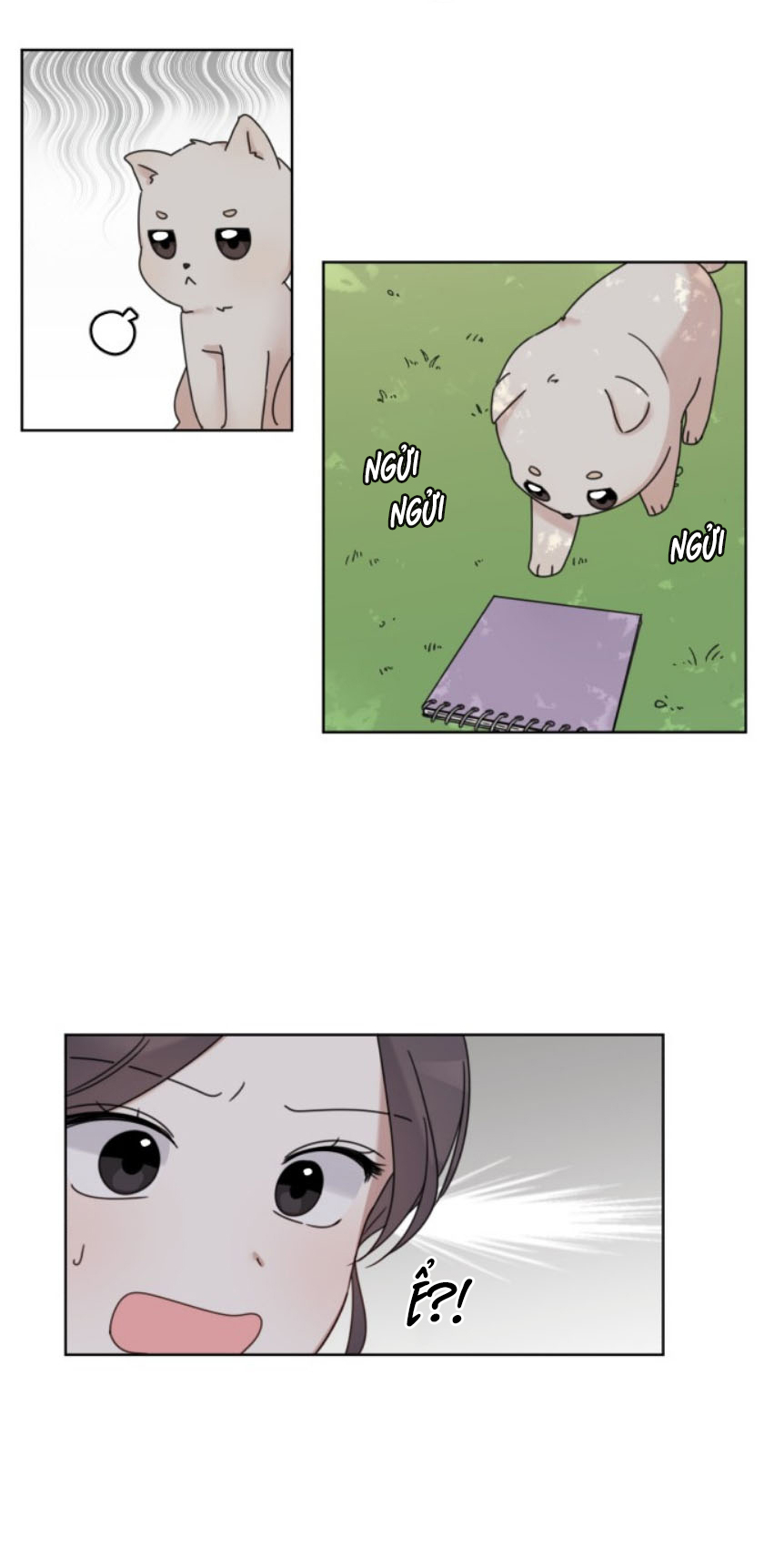 ngắm tranh chapter 1 64