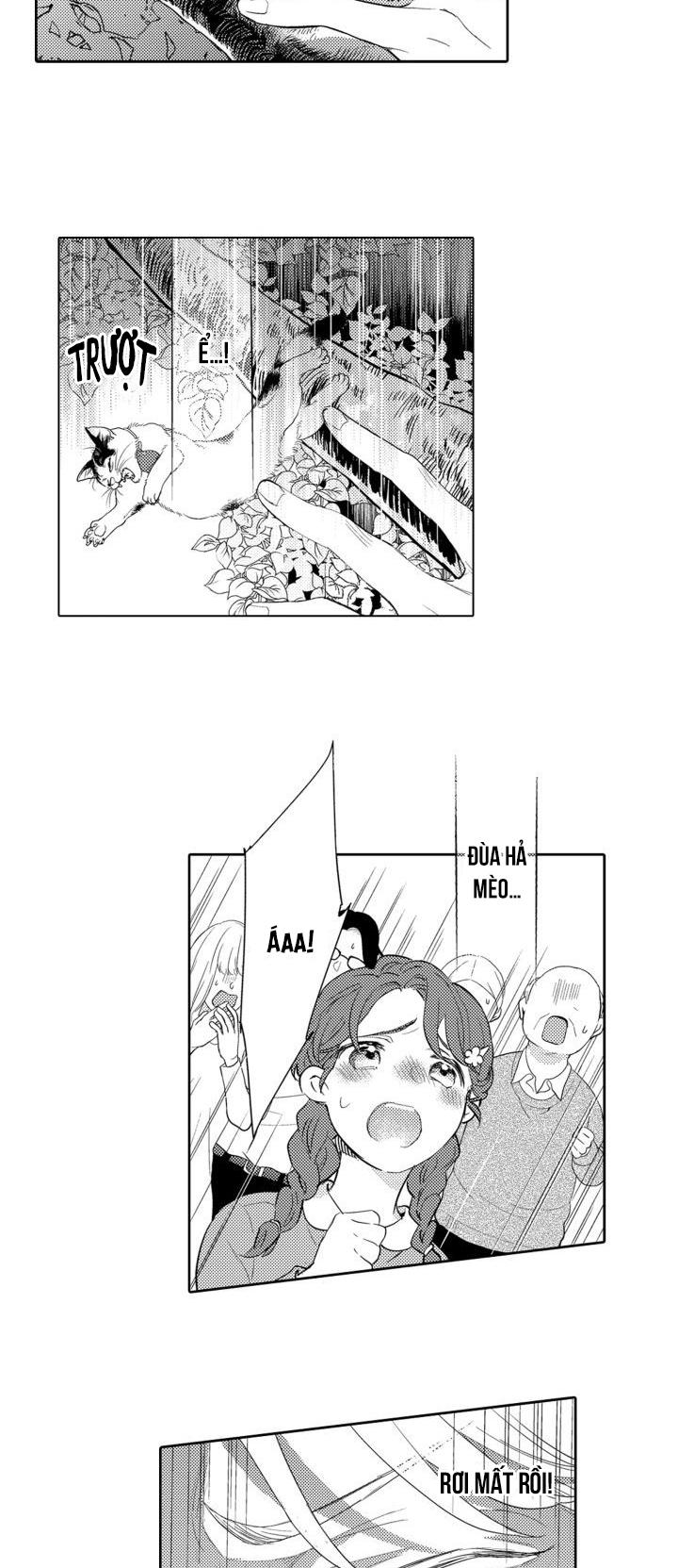 hiyoko-chan to harinezumi-kun chapter 2 6