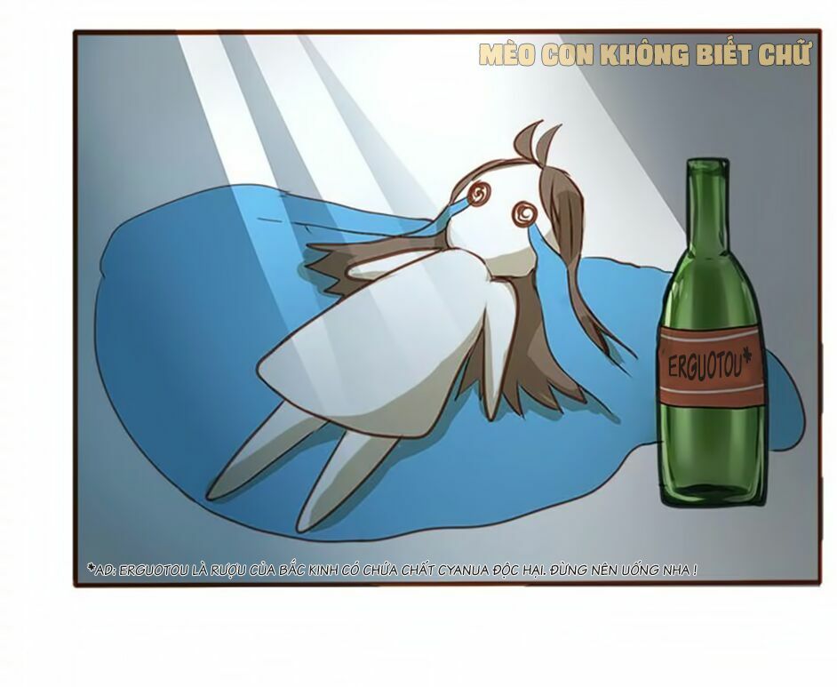 không có ssr làm sao để yêu chapter 1 12